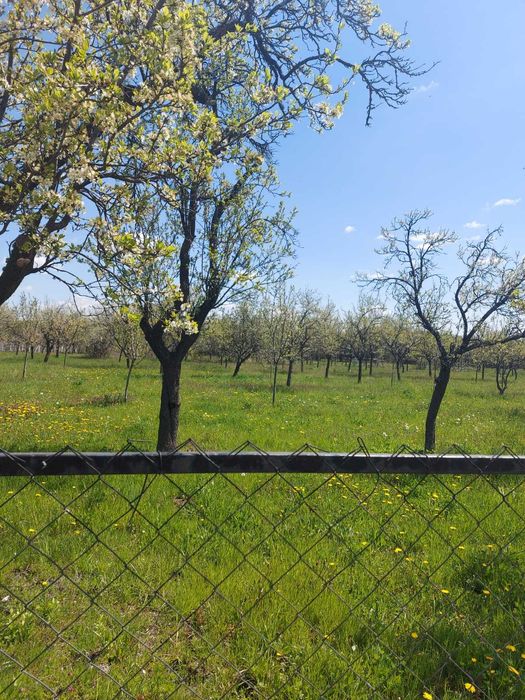 Teren intravilan 1.000 mp in Jud. Arges