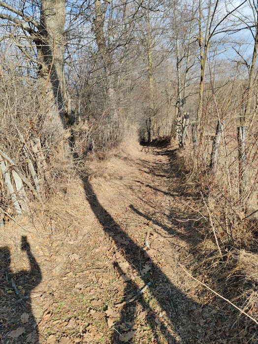 Vând 5000 mp in Albești / 10 km de Câmpulung Muscel