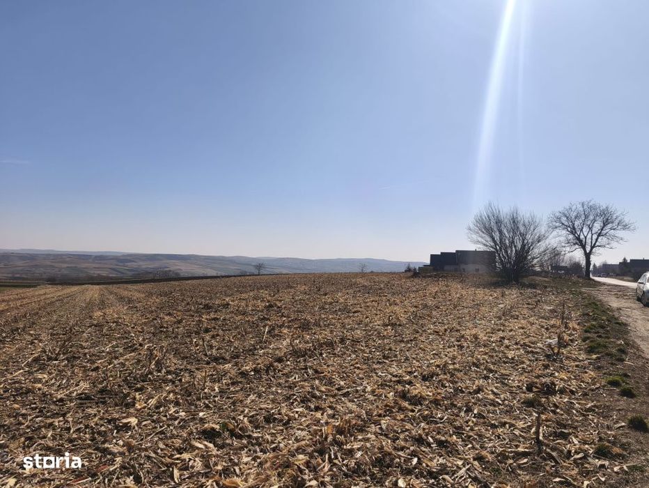 Teren 6500mp, 40ml deschidere la E85, Granicesti, Suceava