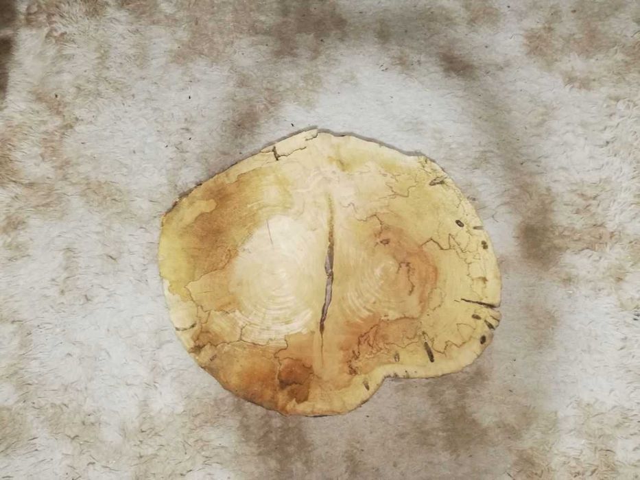 Спил чинара. Сушоный