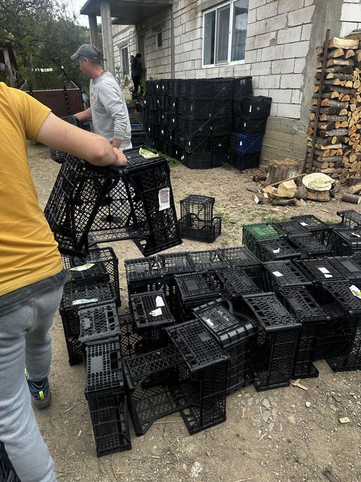 Lazi ladite pentru fructe de la prima utilizare