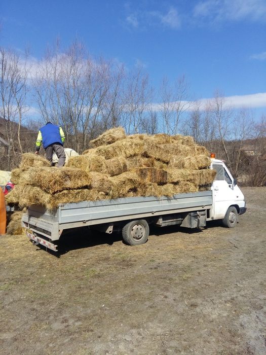 Vând autoutilitară transport auto hidraulic Renault Master an 1995 moț.2,5 iveco euro 1