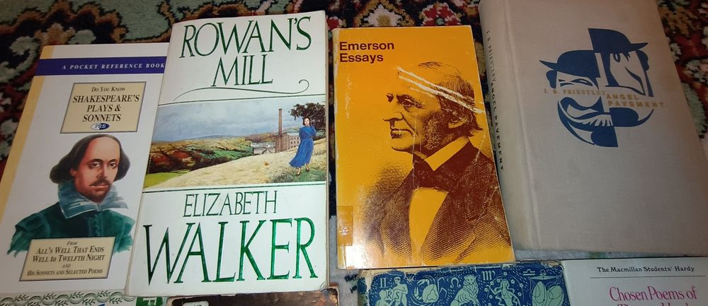 Carti in limba engleză