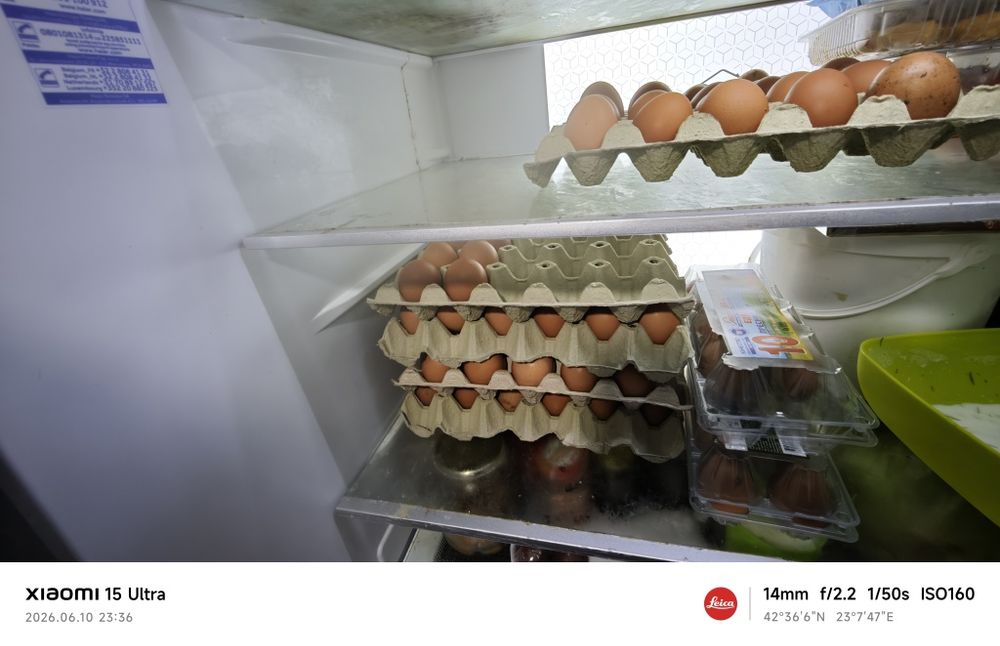 Домашни яица Ломан Браун Ярки