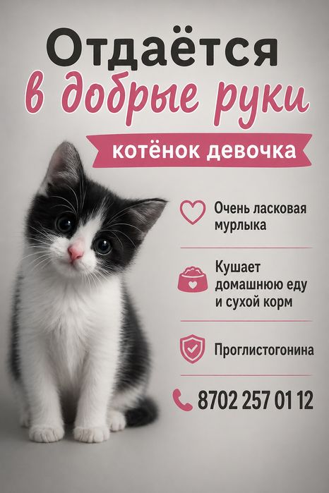 В добрые руки малышку