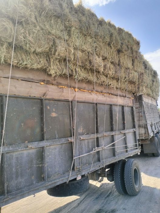 Продам сено тюки