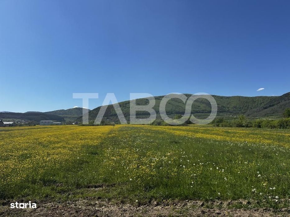 Teren de vanzare cu suprafata de 3000 mp in Poplaca
