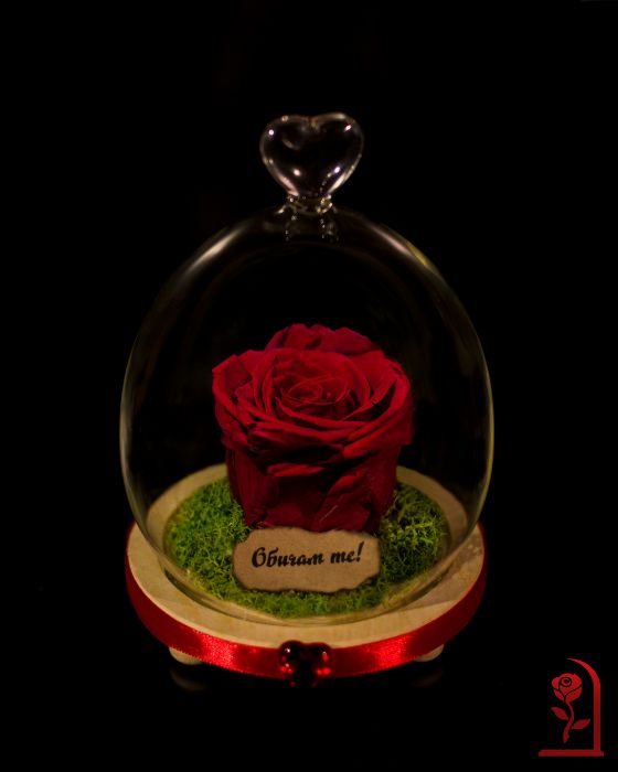 ЕСТЕСТВЕНА Вечна Роза в Стъкленица / Подарък за Коледа за Жена