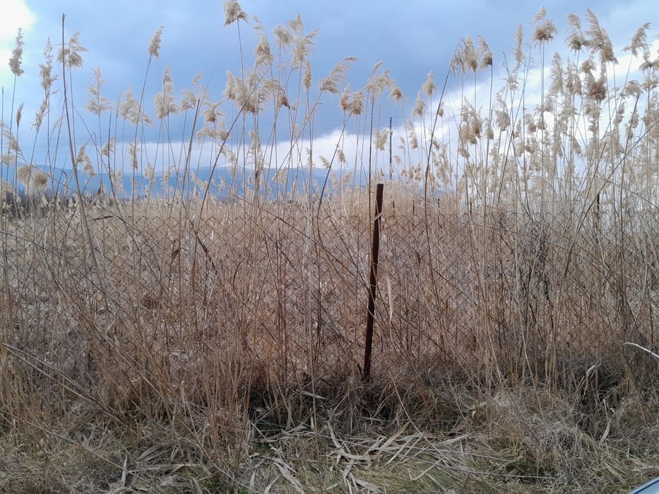 Продава се Земеделски имот в с. Жиленци, Област Кюстендил -  кв.м за 3800 €/дка - Снимка #3