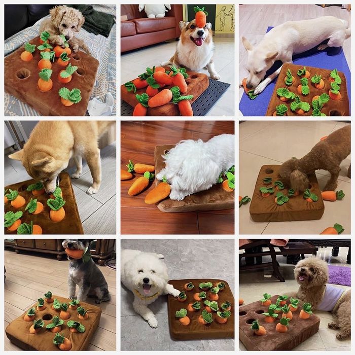 Кучешка играчка развиваща обуниянието