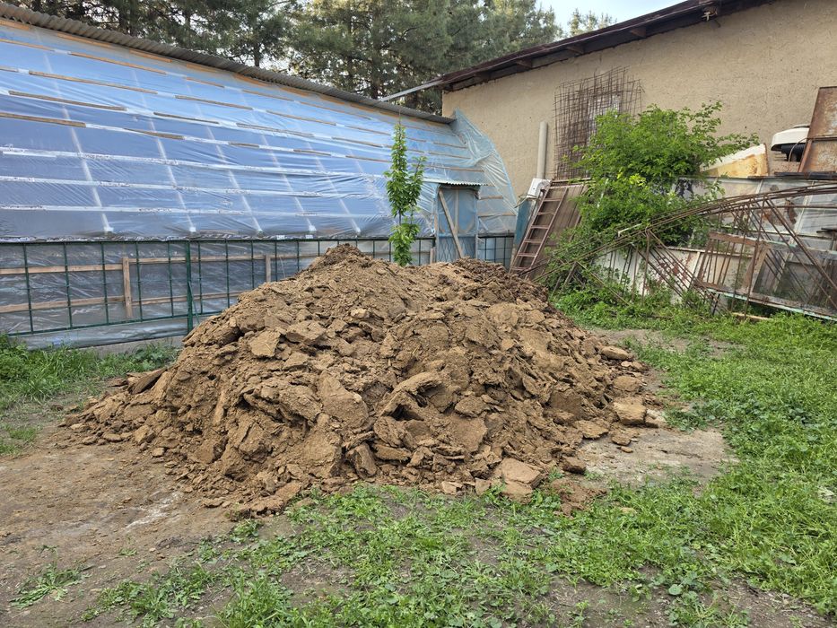Навоз отдам даром, пори бепул