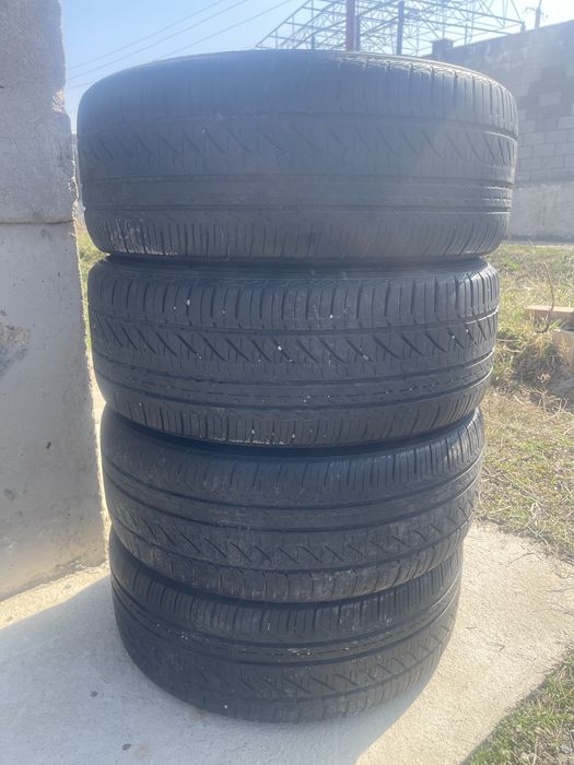 шины , баллоны ………..