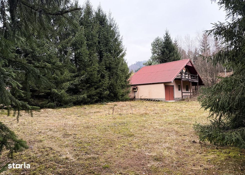 Casa de vacanta - Lacul Lesu - Coada lacului - IMOBIHOR