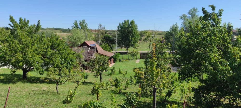 Casa din lemn in Uileacu de Munte