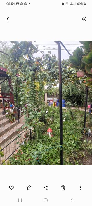 Vand casa  de locuit plus magazin