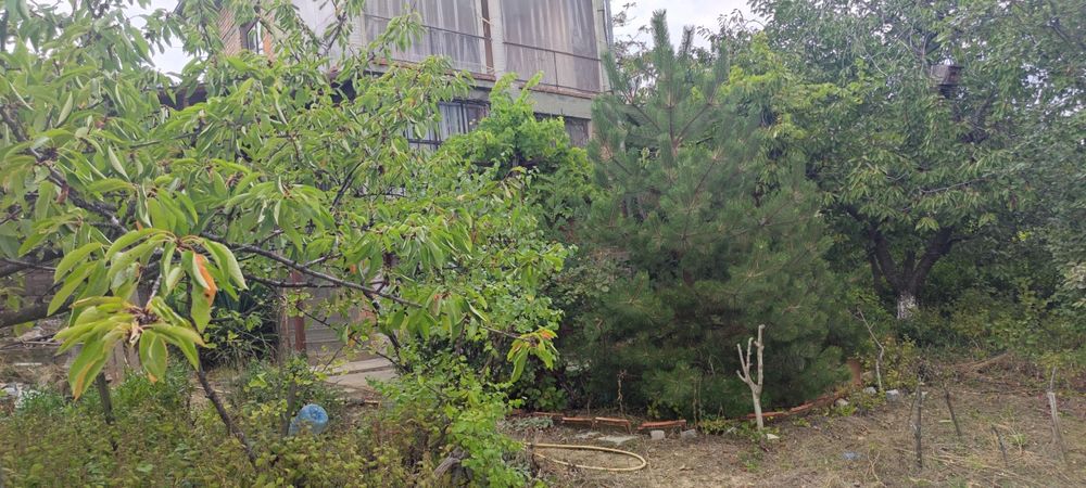 Продава се Къща в Айтос - 40 кв.м за 891 €/кв.м - Снимка #6