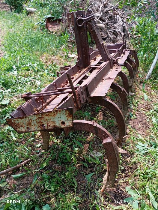 Prsep kultuvassa chizil sotiladii