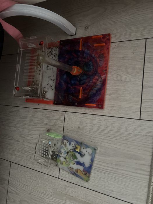 Муравейная ферму продам 2 шт