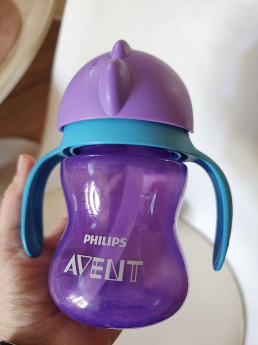 Cani Philips Advent