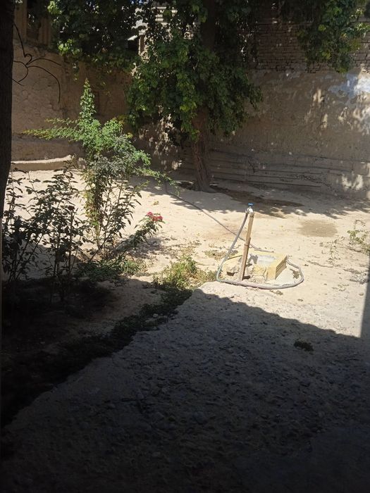 Yangiyol Bozorga yaqin sentrda faqat Qizlarga Arenda