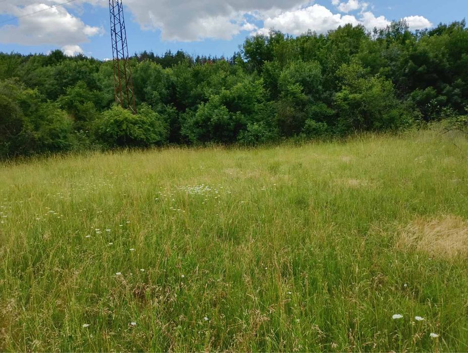 Парцел в с. Елхово общ. Николаево