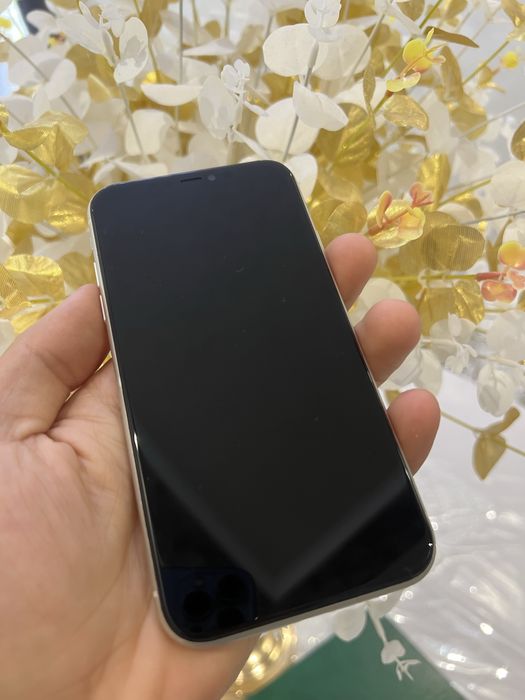 Iphone 11          .