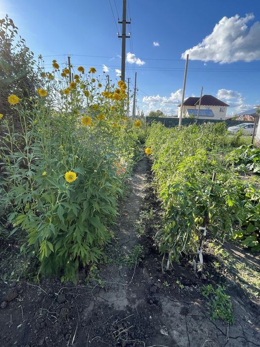 Продам дом в Шанхае