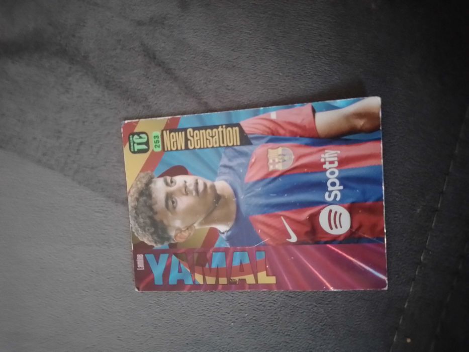 Panini cartonase de fotbal