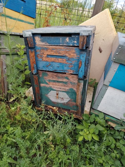 Vand cutii sau roinite albine