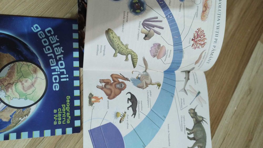 Carti Geografie Istorie Biologie clasa a 4 a suplimente