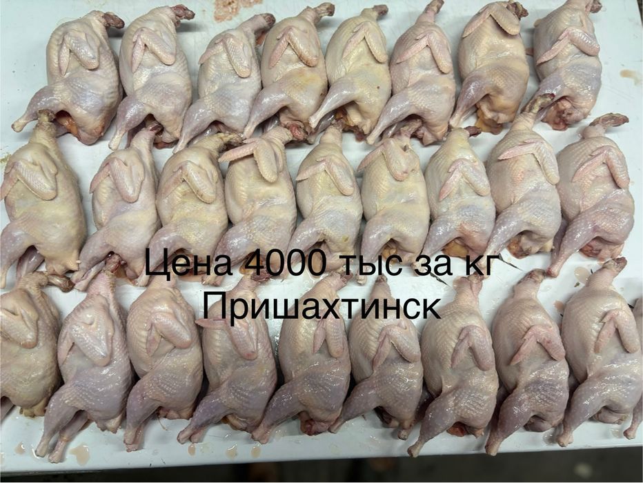 Мясо перепелов пришахтинск