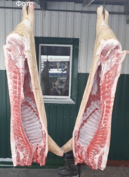 Продам мясо Свинины