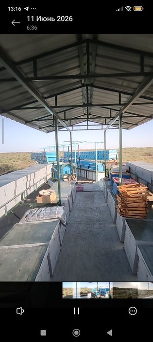 Пчелоприцеп Зил с пчелами