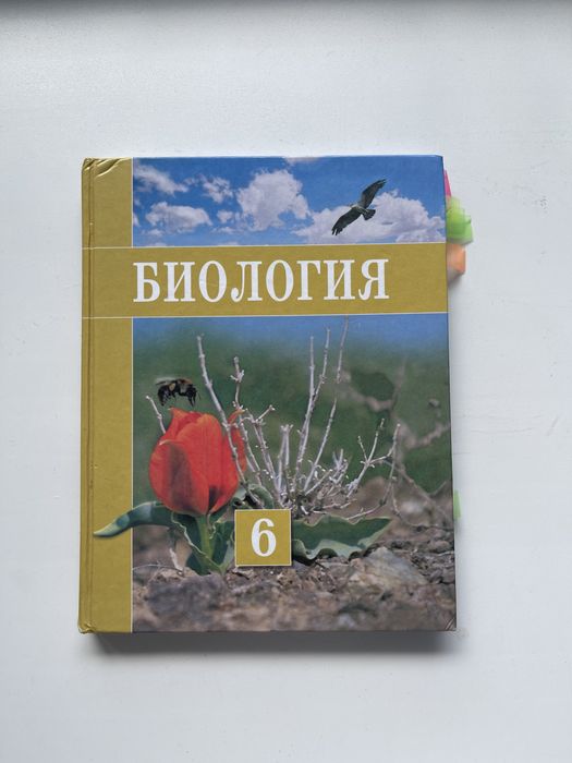 Жапондық порно