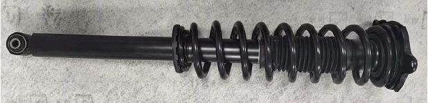 Amortizor + Arc  Tesla Model S  Spate