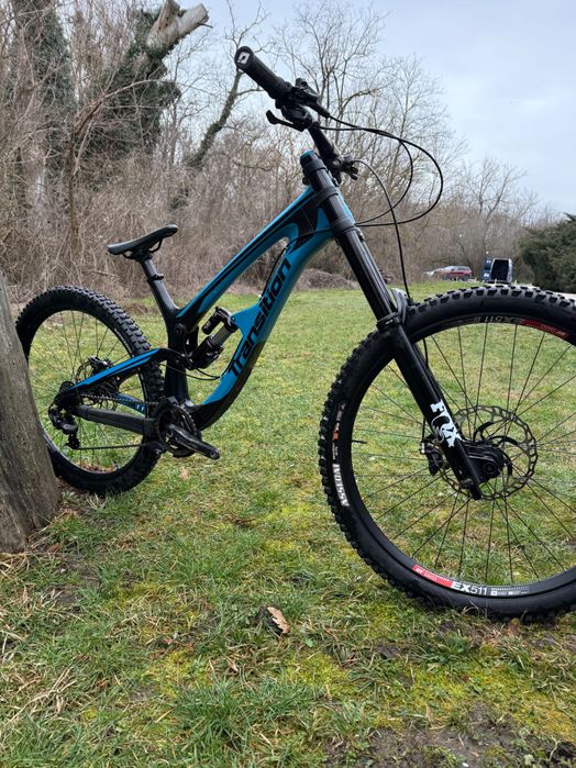 Transition Tr11 L (mullet)