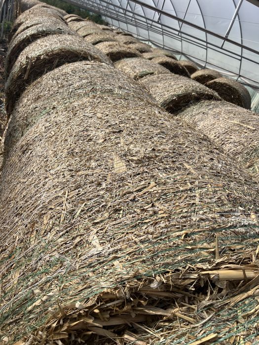 Vând baloti de coceni rotunzi si dreptunghiulari( asigurăm transport )