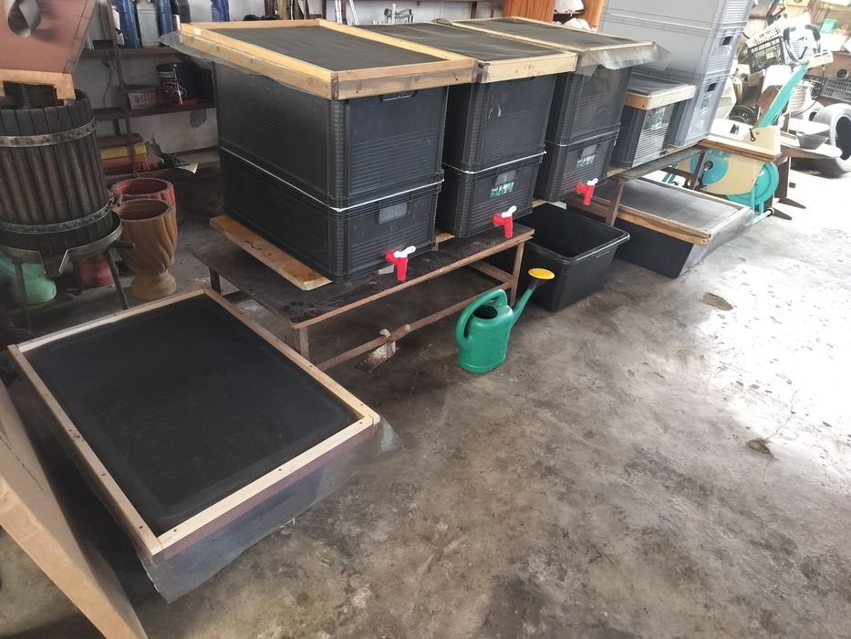 Vind afacere ferma de răme vermicultura,vermicompost