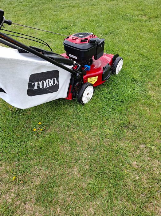 Masina gazon  /  iarba  /  toro