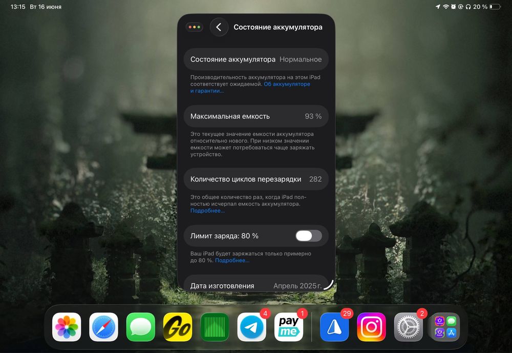 Ipad Pro 11 M4 ideal 256GB Wifi + Cellular