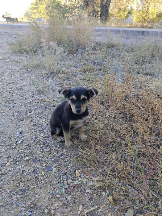 Маленький мальчик ищет дом