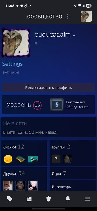 Steam ak|| Prime cs2