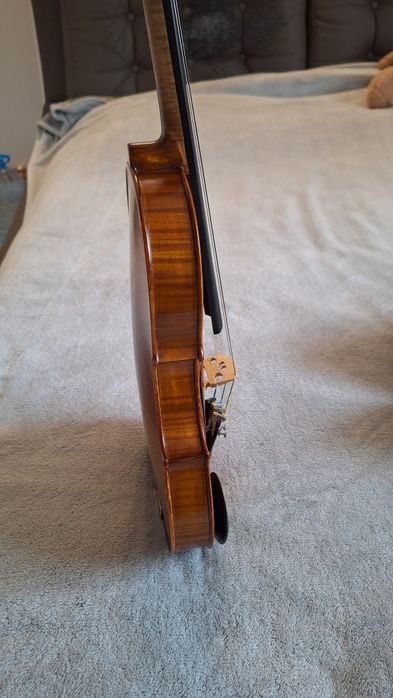 Vioara 4/4, Gliga Vasile - Model Profesional I (an 2000)