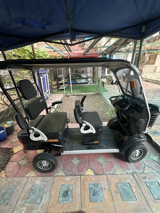 Электрогольфкар ECO BIKE 2025