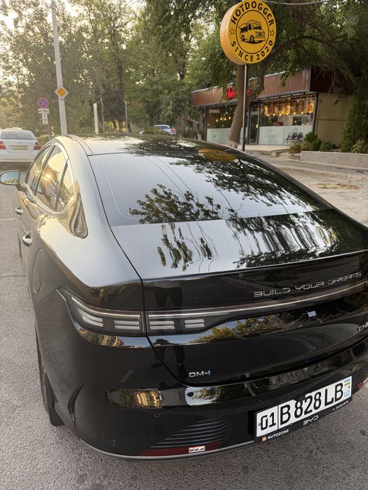 Byd chazor 55 tali