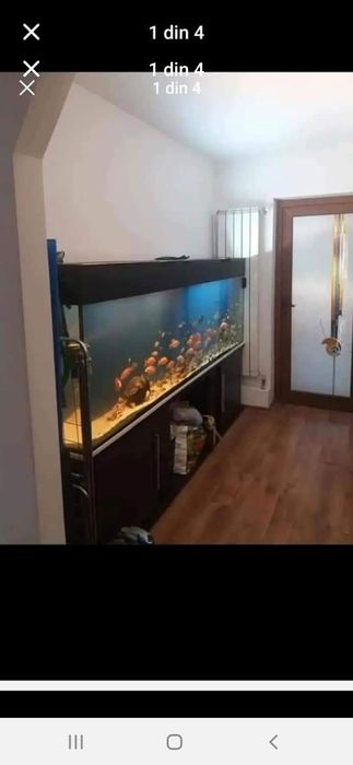 Vând acvariu imens de 2m și 40 cm cu mobilier din lemn masiv