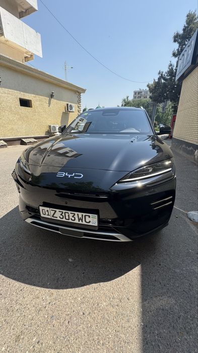 BYD Song Plus EV Champion 2025 — 2