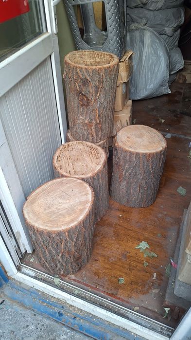 Продам пеньки карагача