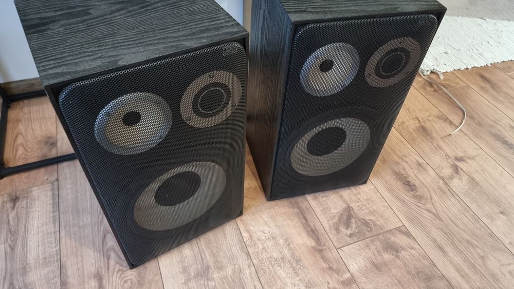 Тонколони scan sound 10"