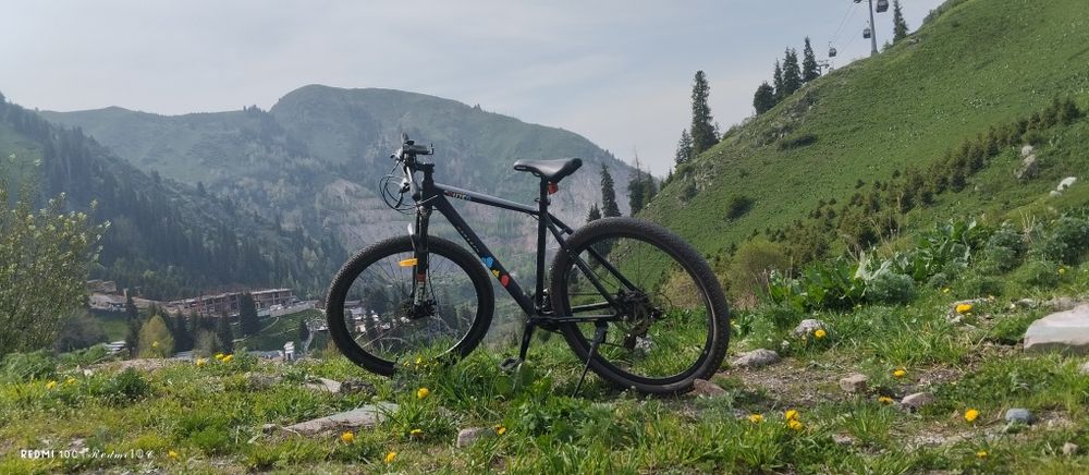Велосипед Cruzer 29